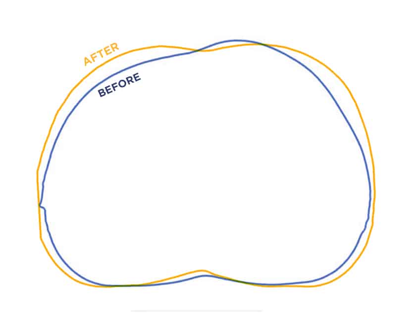Overlay image showing Sean